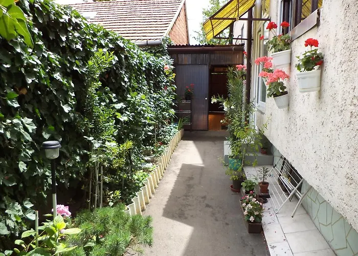 Havas Дом отдыха